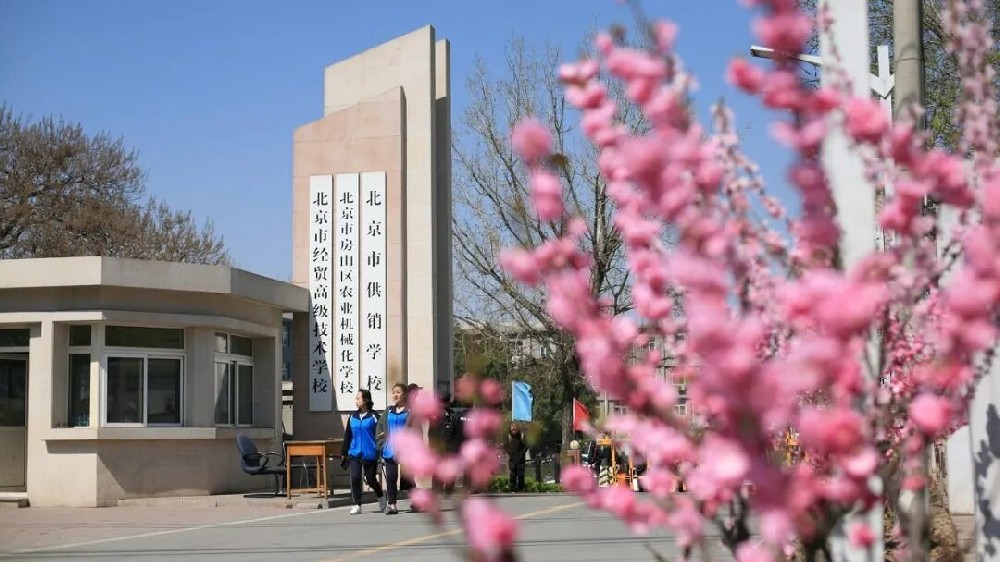 1770183961161260.jpg 640 (6).jpg